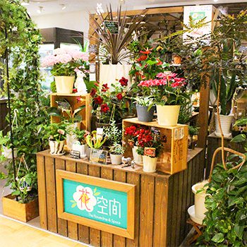 花空間 街なかのオアシス花店 うすい百貨店