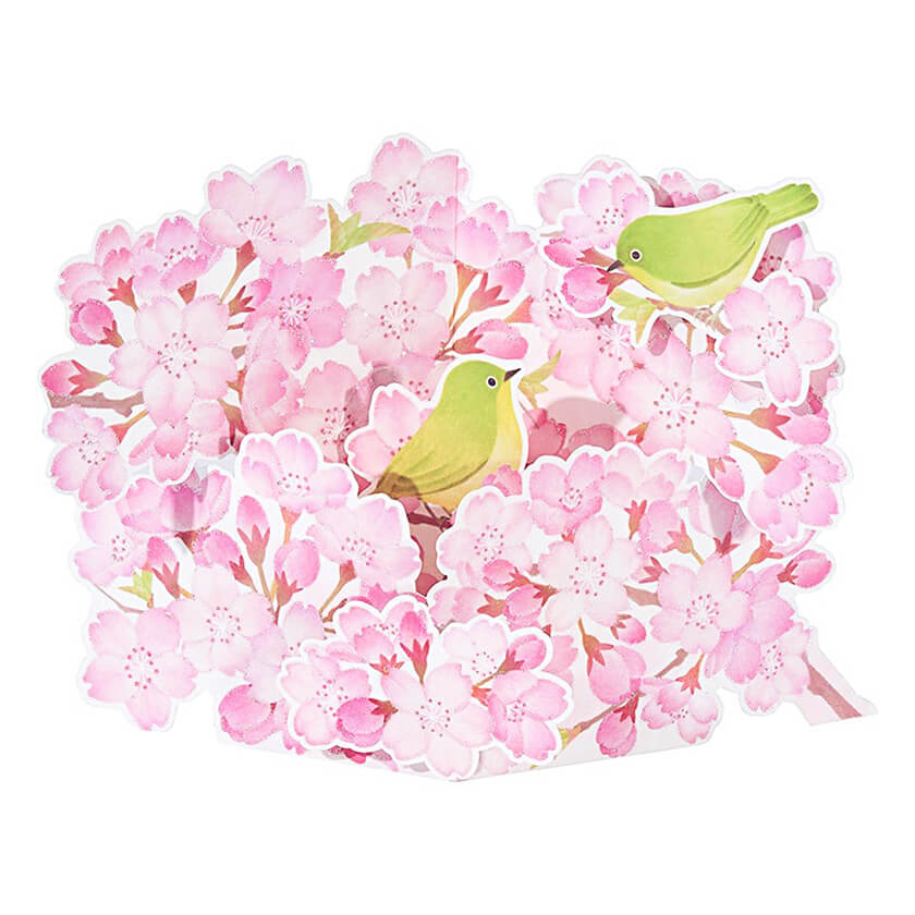 01-春_桜とメジロ