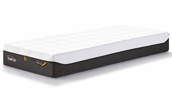 08-1-プロプラス